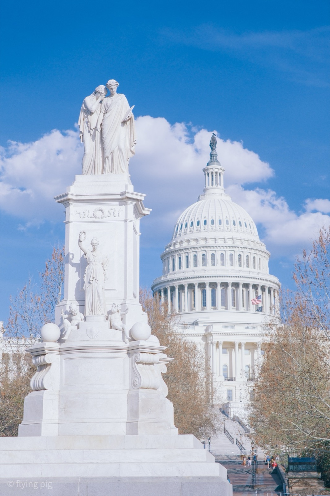 国会山前的雕像和天际线，DC 的庄严感很直接。